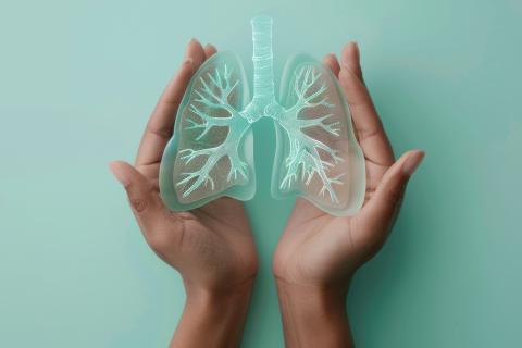 Hands holding transparent 3D-printed lungs against a teal background.