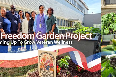 Collage promoting The Freedom Garden Project with photos of people, vegetables, and a garden sign.